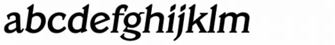 Veracruz TS Medium Italic