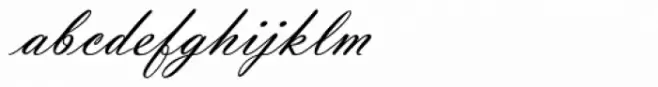 Vladimir Script Regular