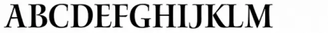 Waters Titling Pro SemiCond SemiBold