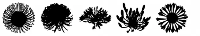 We Love Nature Blooms