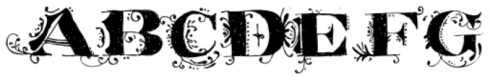 White Rabbit
