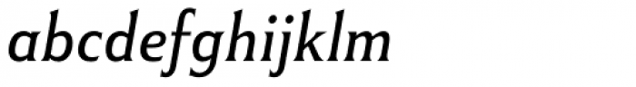Winsel Extended Book Italic