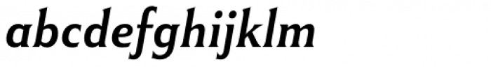 Winsel Extended Medium Italic