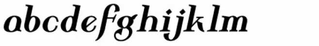 Wolverton Body Text Bold Italic