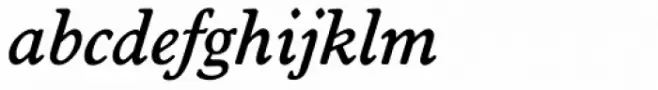 Worcester Serial Medium Italic