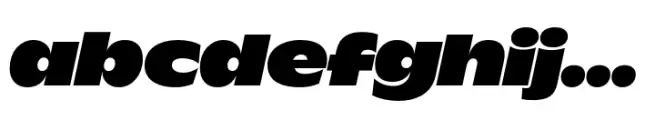 Wordmark Display Heavy Italic