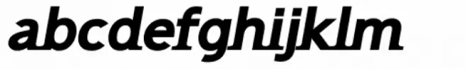 Wrongway Bold Oblique