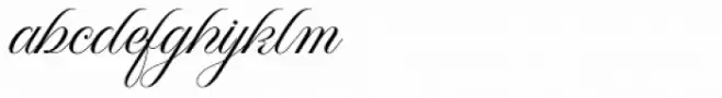 WT Hilton Script Fancy
