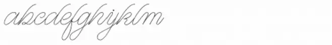 WT Hilton Script Monoline