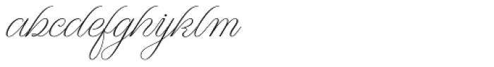 WT Hilton Script Thin