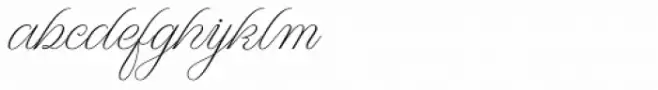 WT Hilton Script Thin