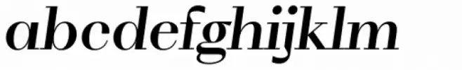 WT Volkolak Serif Poster Medium Italic