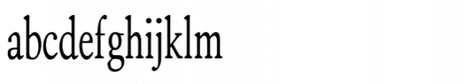 ZT Bros Oskon 90 s Medium Semi Condensed