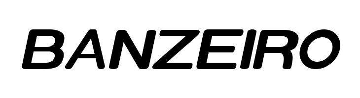 Xero Bold Italic  Free Fonts Download