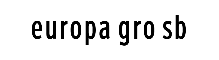Roadgeek 2005 Series 1B  Free Fonts Download