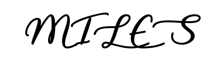 LiarScript  Free Fonts Download