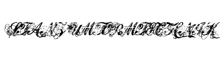 Hawaii Killer  Free Fonts Download