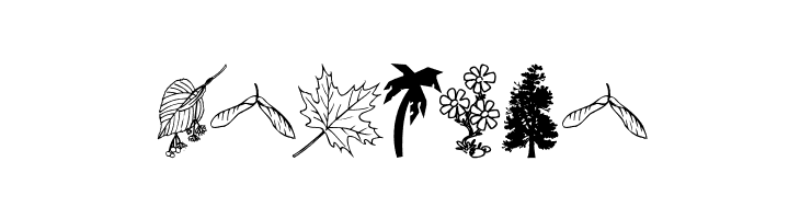 4YEOgarden  Free Fonts Download