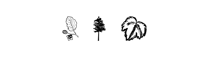 4YEOgarden  Free Fonts Download