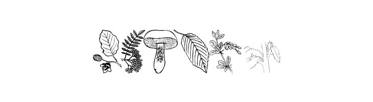 4YEOgarden  Free Fonts Download