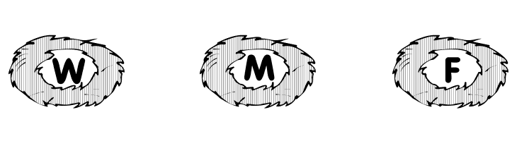 101! Birds Nest  Free Fonts Download