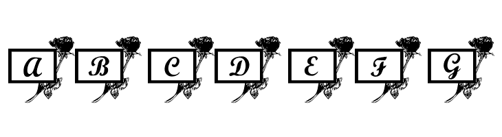 101! Rose Cards  Free Fonts Download