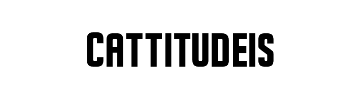 SeilsSans-Bold  Free Fonts Download