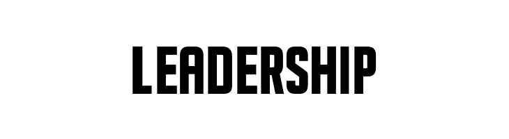 SeilsSans-Bold  Free Fonts Download