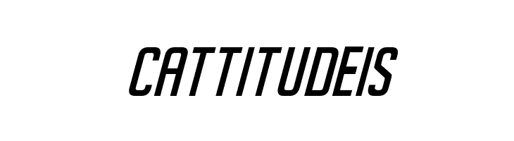 SeilsSans-Italic  Free Fonts Download