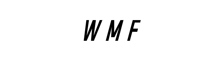 SeilsSans-Italic  Free Fonts Download