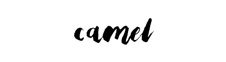 Bristle Brush Script Black Demo  Free Fonts Download