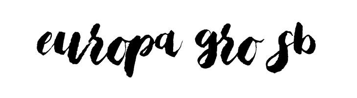Bristle Brush Script Black Demo  Free Fonts Download