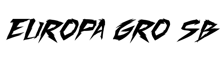 Fighting Spirit TBS Italic  Free Fonts Download