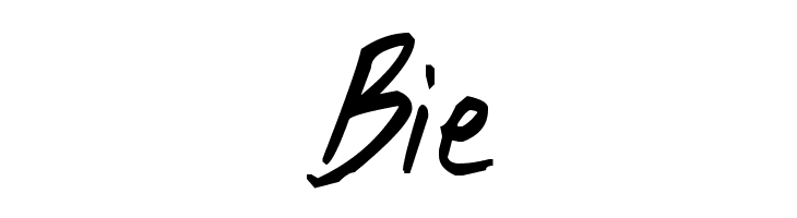 Shank Bold  Free Fonts Download