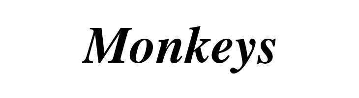 Cardiff Bold Italic  Free Fonts Download