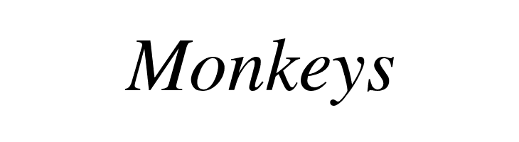 Cardiff Italic  Free Fonts Download