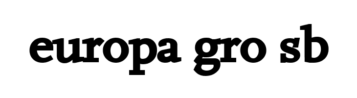 Hanch Bold  Free Fonts Download