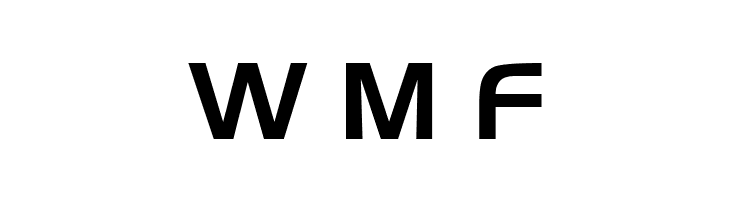 Newtown  Free Fonts Download