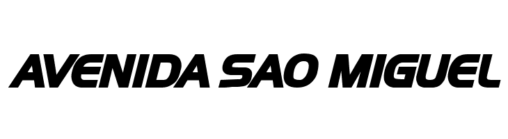 Newtown Bold Italic  Free Fonts Download