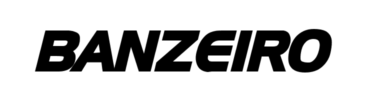 Newtown Bold Italic  Free Fonts Download