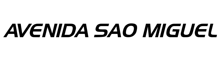 Newtown Italic  Free Fonts Download