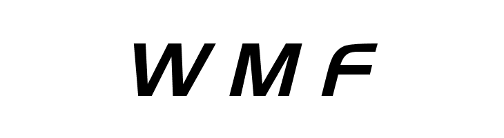 Newtown Italic  Free Fonts Download