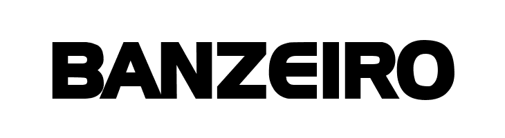 Newtown Bold  Free Fonts Download