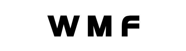 Newtown Bold  Free Fonts Download