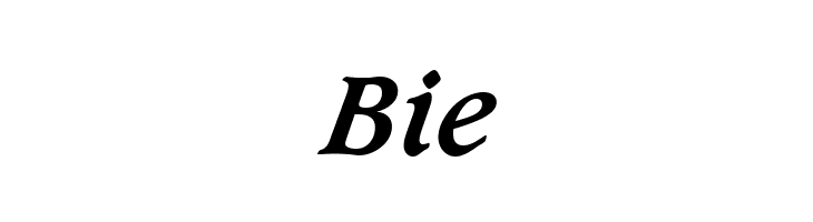 Sudbury Book Bold Italic  Free Fonts Download