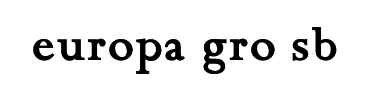 Chanticleer Roman NF Bold  Free Fonts Download