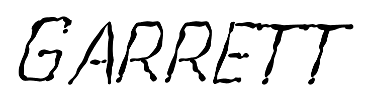 Beegal light Italic Demo  Free Fonts Download