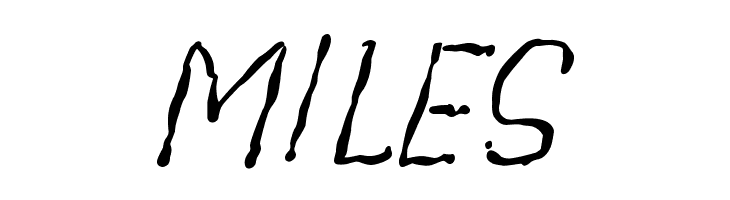 Beegal light Italic Demo  Free Fonts Download