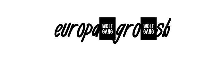 WOLF GANG SCRIPT  Free Fonts Download
