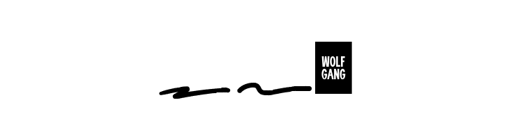 WOLF GANG SCRIPT SWASH  Free Fonts Download